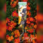 Incenso Noa Oxóssi